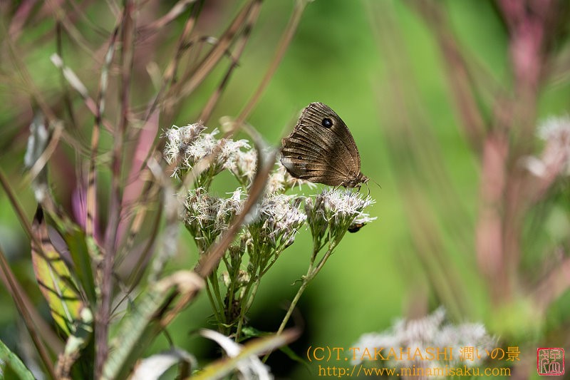 ../Images/7R240817 (278).jpg